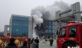 焦作新媒最新爆料,揭秘背后惊人真相！