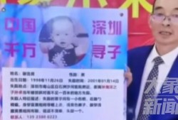 深圳谢先生最新爆料,揭秘事件背后惊人真相