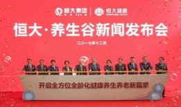 恒大物业最新爆料新闻,揭秘背后真相与挑战