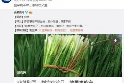微博最新爆料韭菜,韭菜价格波动背后的秘密，揭秘市场新动态！