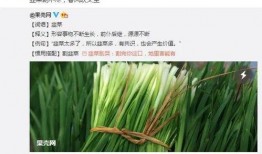 微博最新爆料韭菜,韭菜价格波动背后的秘密，揭秘市场新动态！