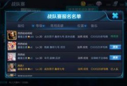 王者最新爆料公告在哪看,揭秘新版本公告观看攻略