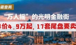 深圳光明金融最新爆料,揭秘最新爆料背后的金融变革