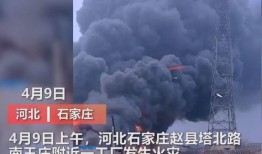 宁南最新事件爆料视频曝光,视频揭露惊人真相